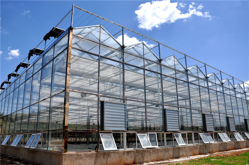 阳光板、玻璃温室(图2)