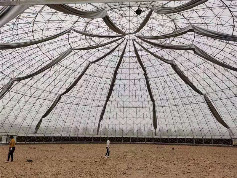鱼台2000平米阳光板鸟巢温室(图3)
